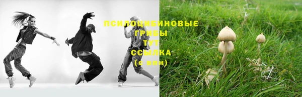 дживик Магадан