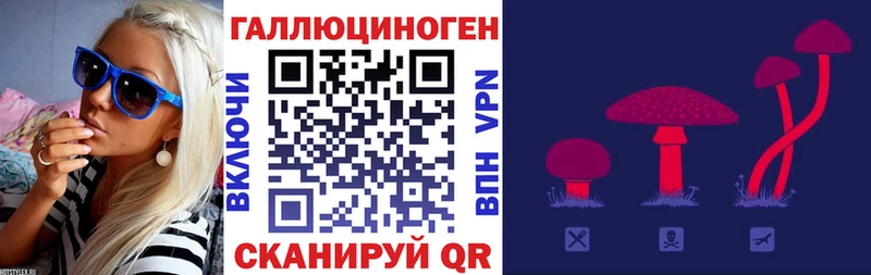 дарнет шоп  Хилок  Псилоцибиновые грибы MAGIC MUSHROOMS 